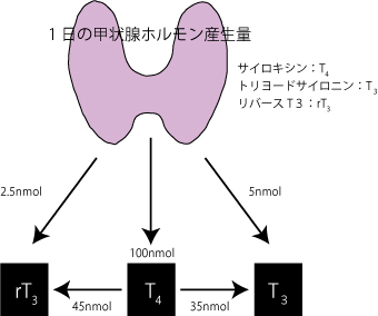 ヨード、鶏卵、流産